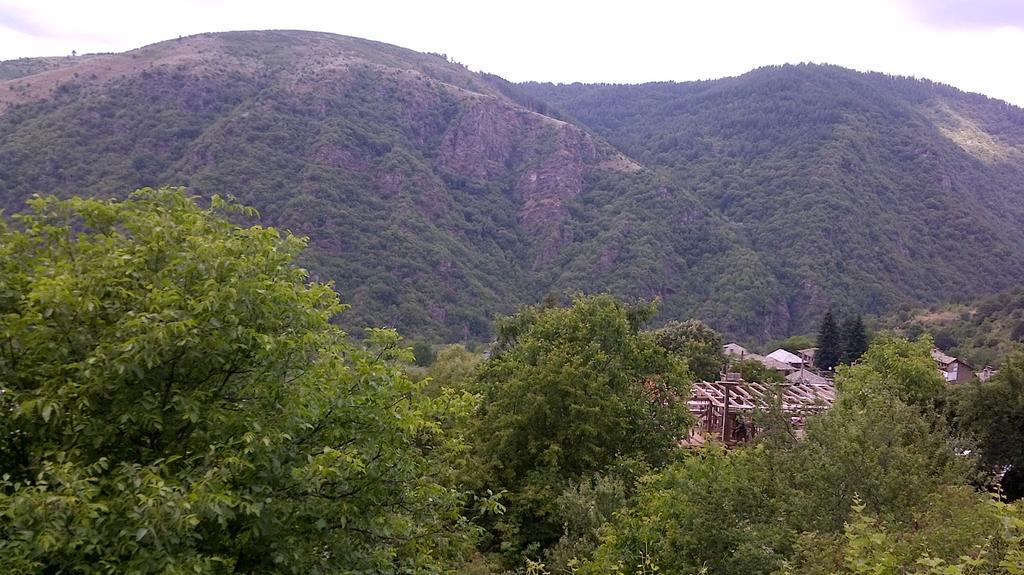 Базотева Къща Hotel Ковачевица Екстериор снимка